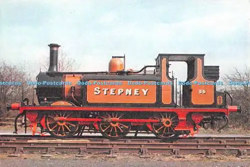 D099926 Stepney einer von William Stroudleys berühmten kleinen Terrier gebaut in Bright