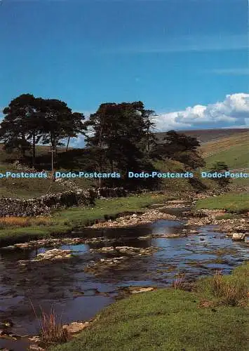 D106170 Yorkshire Dales Nationalpark. River Wharfe in Langstrothdale