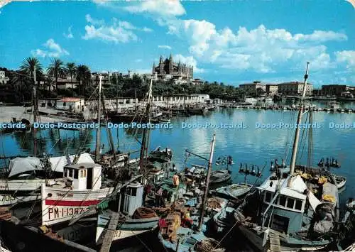 D101462 Palma de Mallorca. Detalle del Puerto. CYP. Nr. PM 2. Puig Ferran