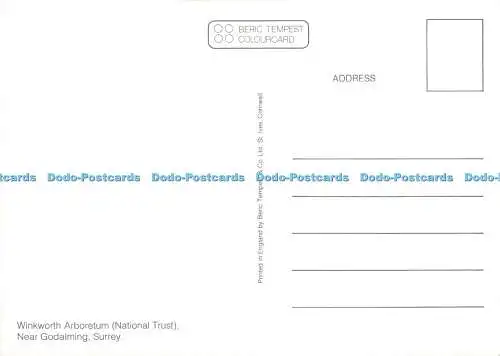 D103299 Winkworth Arboretum. National Trust. Nahe Godalming. Surrey. Beric Tempe