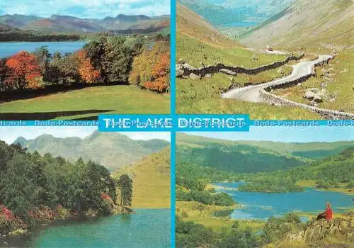 D103304 Lake District. Lachs. Multi View