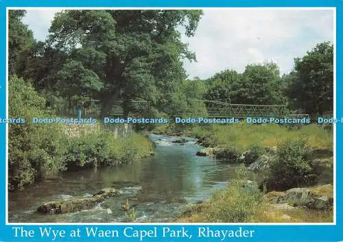 D103483 Wye at Waen Capel Park. Rhayader. Richter. C5955