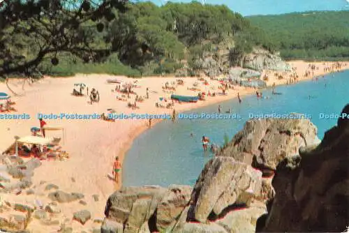 D103500 Playa de Aro Calonge. Costa Brava. Gogo Bay. Inmitten von Felsenwäldern und sa