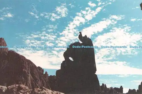 D101870 Ein Pfau breitet seinen Schwanz aus. Volksrepublik China