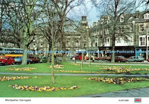 D103693 Harrogate. Montpellier. E. T. W. Dennis. Photocolour