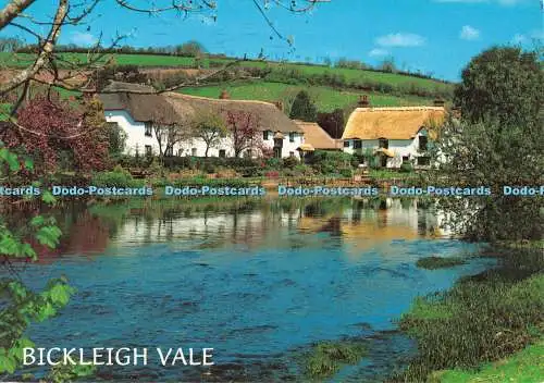 D107277 Bickleigh Vale. Cottages und der Fluss Exe in Bickleigh Vale. J. Lachs