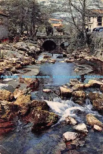D104202 Cheddar. Der Fluss Yeo. J. Arthur Dixon. 1958