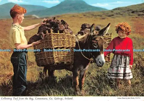 D107342 Irland. Rasen aus der Tasche sammeln. Connemara. Co. Galway. John Hinde