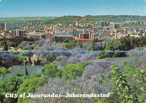 D105992 Stadt Jacarandas. Pretoria. Transvaal. Kunstverlag. John Hone