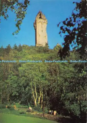 D106008 Wallace Monument in Causewayhead in der Nähe der Bridge of Allan. Braemar Folien. Ma
