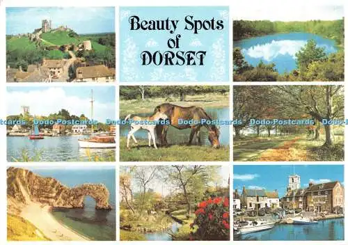 D107509 Beauty Spots of Dorset. Dixon. Multi View