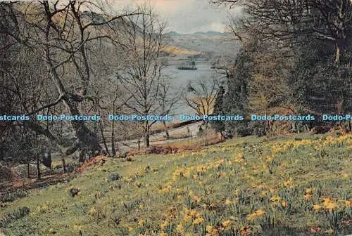 D107529 Rydal Water. Westmorland vom Doras Field aus gesehen zur Narzissenzeit. Dixo