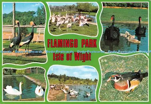 D107896 Flamingo Park. Isle of Wight. Nahe. Multi View