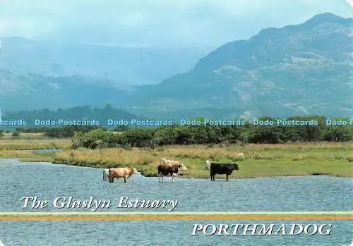 D108274 Porthmadog. Gwynedd. Die Glaslyn-Mündung. John Hinde. David Noble