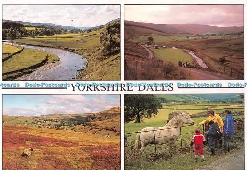 D108399 Yorkshire Dales. Litton Dale. Cotterdale. Raydale. Robin Dengate Photogr