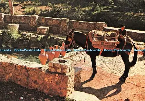 D108615 Alte. Algarve. Portugal. Wasser aus dem neuen Brunnen. Centro de Caridade