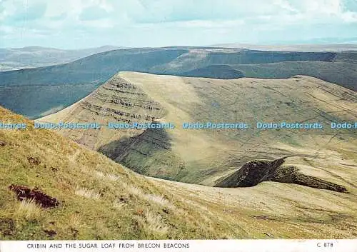 D110200 Krippe und Zuckerhut von Brecon Beacons. C878. Richter