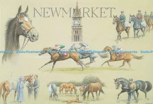 D110433 Newmarket. Pferde. Pferderennen-Hauptquartier. Tiptaft. Sportliche Farben.