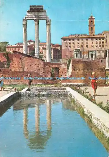 D112176 Roma. Forum Romanum. ALTER. Pitigliano Gr. 1969