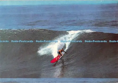 D109119 Hawaii. Surfen. Banzai Pipeline. European Surfing. Dr. Don James