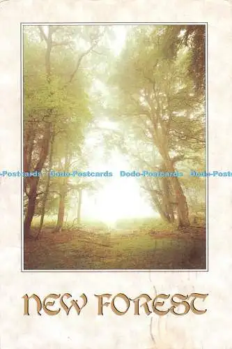 D112556 New Forest. Print Designers International. Richard Kraus