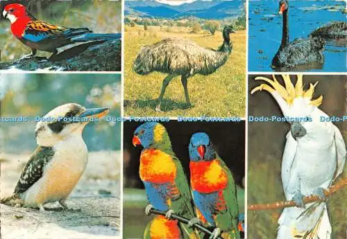 D113902 Eastern Rosella. Emu. Black Swan. Schwefelschopf. Kookaburra. Rainbow P