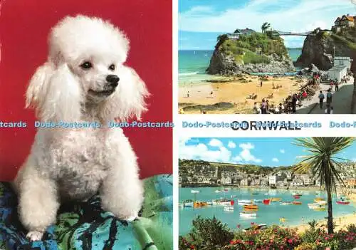 D109559 Cornwall. John Hinde. Multi View. 1971