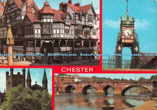 D116325 Chester. J. Salmon. Multi View