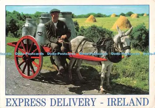 D111131 Irland. Expressversand. John Hinde. 1971