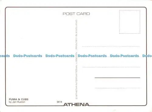 D112865 Puma und Cubs. Athena International. Jan Huston