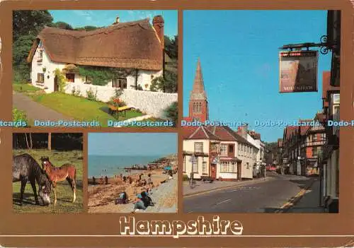 D109704 Hampshire. John Hinde. Multi View. 1990