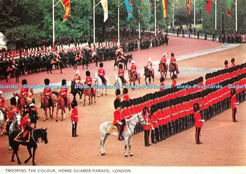 D109710 London. Trooping the Colour. Horse Guards Parade. Fotopräzision. Farbe