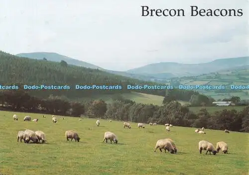 D116392 Brecon Beacons. Richter. C. 2542