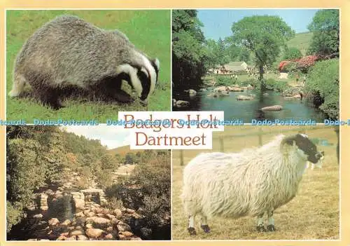 D109716 Dartmeet. Badgers Holt. J. Arthur Dixon. Multi View