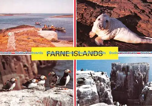 D116394 Farne Islands. Innere Farne. J. Arthur Dixon. Multi View