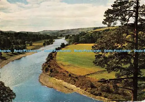 D111206 Banffshire. Craigellachie. Queens View. Ein herrlicher Blick auf den Fluss S