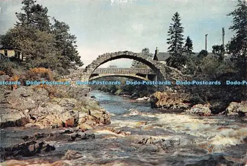 D116431 Carrbridge. Inverness Shire. J. Arthur Dixon. 1959