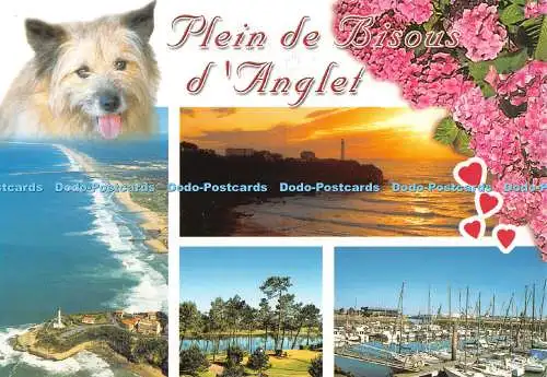 D109785 Plein de Bisous d Anglet. Thouand. Multi View