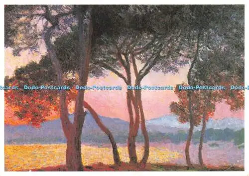 D116463 Juan Les Pins. Claude Monet. Zauberer und Genie. Bildersuche