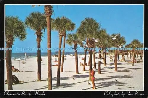 D116511 Florida. Clearwater Beach. Tom Brown