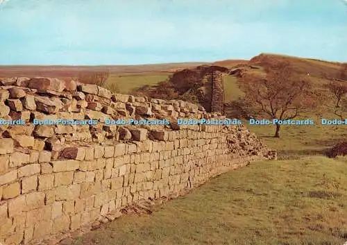 D116560 Northumberland. Walltown Crags. Ein Abschnitt römischer Mauer. Hindson Print G