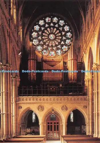 D114374 Arundel Catedral. Rosenkranzfenster und Orgel. Blenden von Arundel