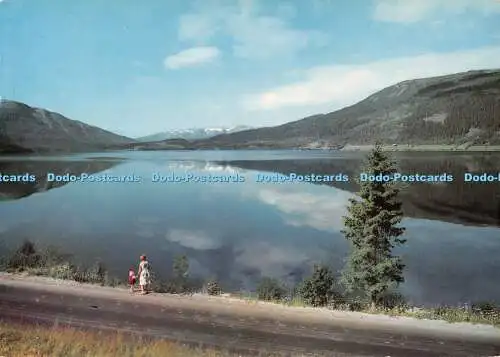 D113072 Norwegen. Blick auf den See Fustvatn. Der Mosjoen. Straße Korgen. Aune. Ultra