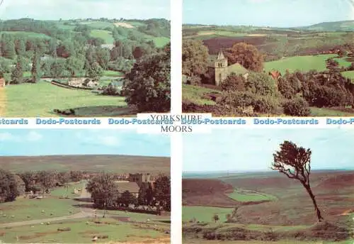 D113106 Yorkshire Moors. Egton Bridge. Richter. C. 946. Multi View