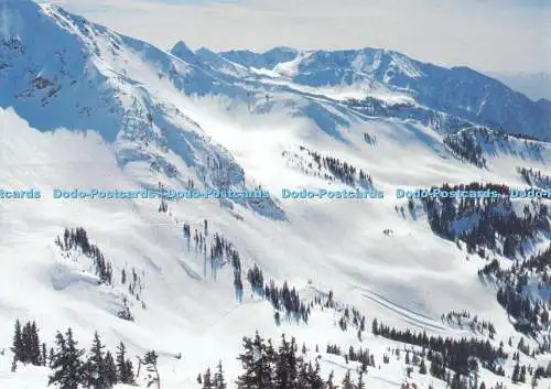 D113149 Berge im Schnee. Postkarte