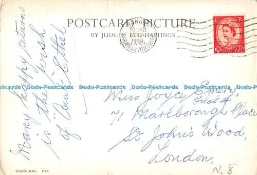 D116661 Snowdon. Richter. C. 14. Postkarte. 1958