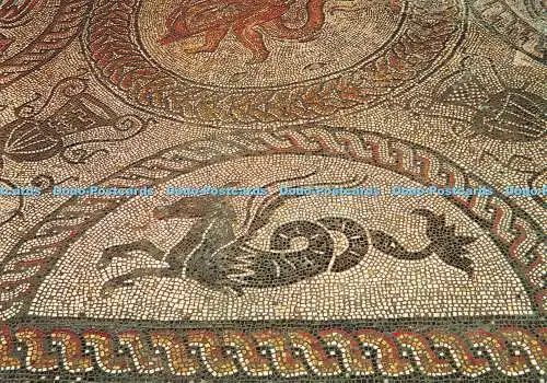 D116698 Fishbourne Roman Palace. Tafel aus dem Delfinmosaik im Nordflügel