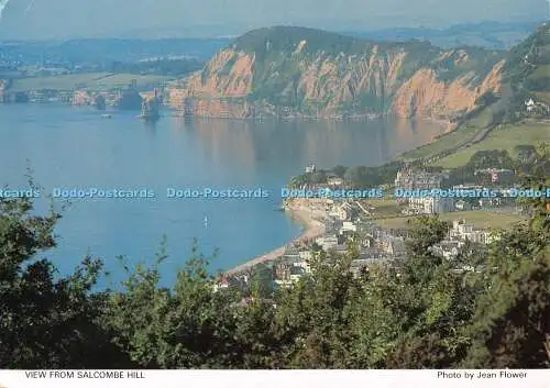 D114550 Blick vom Salcombe Hill. Jeansblume. Richter. C9530X. 1992