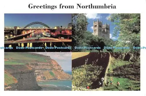 D116766 Grüße aus Northumbria. Newcastle-Brücken bei Nacht. England Tourist