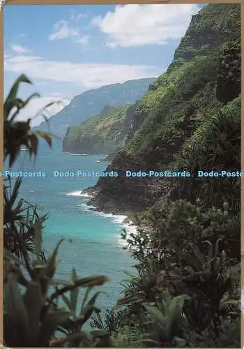 D118135 Die Küste von Na Pali. Auf Kaua. 1999